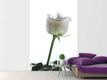 Load image into Gallery viewer, Photo Wallpaper On Behalf Of The Rose