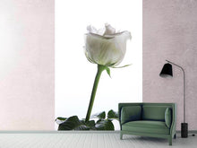 Load image into Gallery viewer, Photo Wallpaper On Behalf Of The Rose