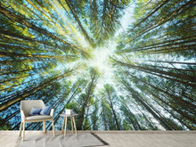 Load image into Gallery viewer, Photo Wallpaper Pine Forest