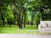 Load image into Gallery viewer, Photo Wallpaper Cherry Garden