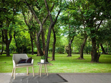 Load image into Gallery viewer, Photo Wallpaper Cherry Garden