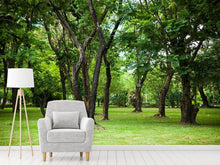 Load image into Gallery viewer, Photo Wallpaper Cherry Garden