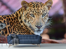 Load image into Gallery viewer, Photo Wallpaper Leopard