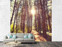 Load image into Gallery viewer, Photo Wallpaper Light At The End Of The Forest Path