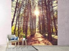 Load image into Gallery viewer, Photo Wallpaper Light At The End Of The Forest Path