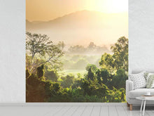 Load image into Gallery viewer, Photo Wallpaper Light Show In forest