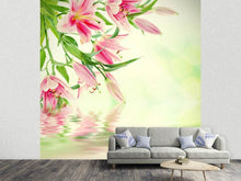 Load image into Gallery viewer, Photo Wallpaper Lilies On Water