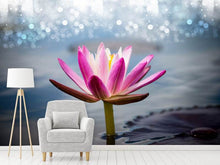Load image into Gallery viewer, Photo Wallpaper Lotus In The Morning Dew