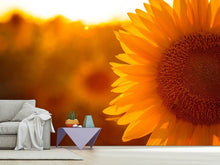 Load image into Gallery viewer, Photo Wallpaper Macro Sunflower