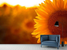 Load image into Gallery viewer, Photo Wallpaper Macro Sunflower