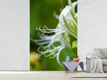 Load image into Gallery viewer, Photo Wallpaper Macro Florescence