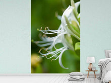 Load image into Gallery viewer, Photo Wallpaper Macro Florescence