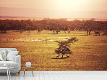 Load image into Gallery viewer, Photo Wallpaper Picturesque Africa