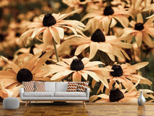 Load image into Gallery viewer, Photo Wallpaper Daisies In Sepia