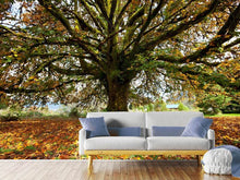 Load image into Gallery viewer, Photo Wallpaper My Favorite Tree