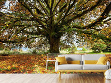 Load image into Gallery viewer, Photo Wallpaper My Favorite Tree