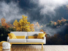 Load image into Gallery viewer, Photo Wallpaper Moonlight Forest