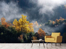 Load image into Gallery viewer, Photo Wallpaper Moonlight Forest