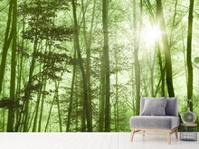 Load image into Gallery viewer, Photo Wallpaper Nibelungen Forest