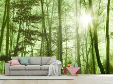 Load image into Gallery viewer, Photo Wallpaper Nibelungen Forest