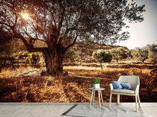 Load image into Gallery viewer, Photo Wallpaper Olive Grove