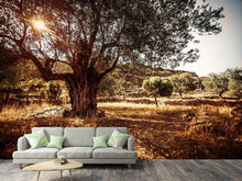 Load image into Gallery viewer, Photo Wallpaper Olive Grove