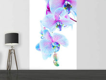Load image into Gallery viewer, Photo Wallpaper Orchid Butterfly