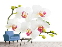 Load image into Gallery viewer, Photo Wallpaper Orchids Love