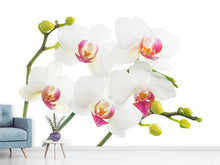 Load image into Gallery viewer, Photo Wallpaper Orchids Love