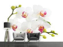 Load image into Gallery viewer, Photo Wallpaper Orchids Love