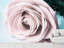 Load image into Gallery viewer, Photo Wallpaper Pastel Rose