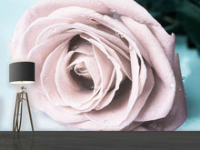Load image into Gallery viewer, Photo Wallpaper Pastel Rose