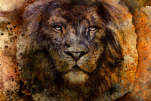 Load image into Gallery viewer, Photo Wallpaper Portrait Of A Lion
