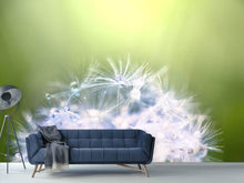 Load image into Gallery viewer, Photo Wallpaper Dandelion XL In Morning Dew