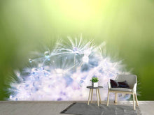 Load image into Gallery viewer, Photo Wallpaper Dandelion XL In Morning Dew