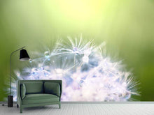 Load image into Gallery viewer, Photo Wallpaper Dandelion XL In Morning Dew