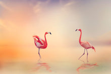 Load image into Gallery viewer, Photo Wallpaper Romantic Flamingos