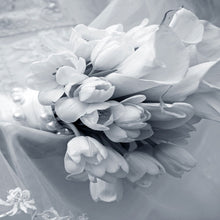 Load image into Gallery viewer, Photo Wallpaper Romantic Tulips Bouquet