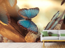 Load image into Gallery viewer, Photo Wallpaper Butterflies