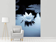 Load image into Gallery viewer, Photo Wallpaper Black And White Photograph Waterlily