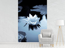 Load image into Gallery viewer, Photo Wallpaper Black And White Photograph Waterlily
