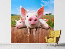 Load image into Gallery viewer, Photo Wallpaper Pig In Luck
