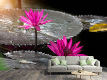 Load image into Gallery viewer, Photo Wallpaper Water Lily In The Morning Dew