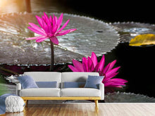 Load image into Gallery viewer, Photo Wallpaper Water Lily In The Morning Dew
