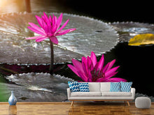 Load image into Gallery viewer, Photo Wallpaper Water Lily In The Morning Dew