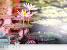 Load image into Gallery viewer, Photo Wallpaper Lilies In Pond