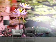 Load image into Gallery viewer, Photo Wallpaper Lilies In Pond