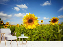 Load image into Gallery viewer, Photo Wallpaper Summer Sunflowers