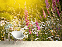 Load image into Gallery viewer, Photo Wallpaper Summer Flower Meadow