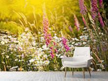 Load image into Gallery viewer, Photo Wallpaper Summer Flower Meadow